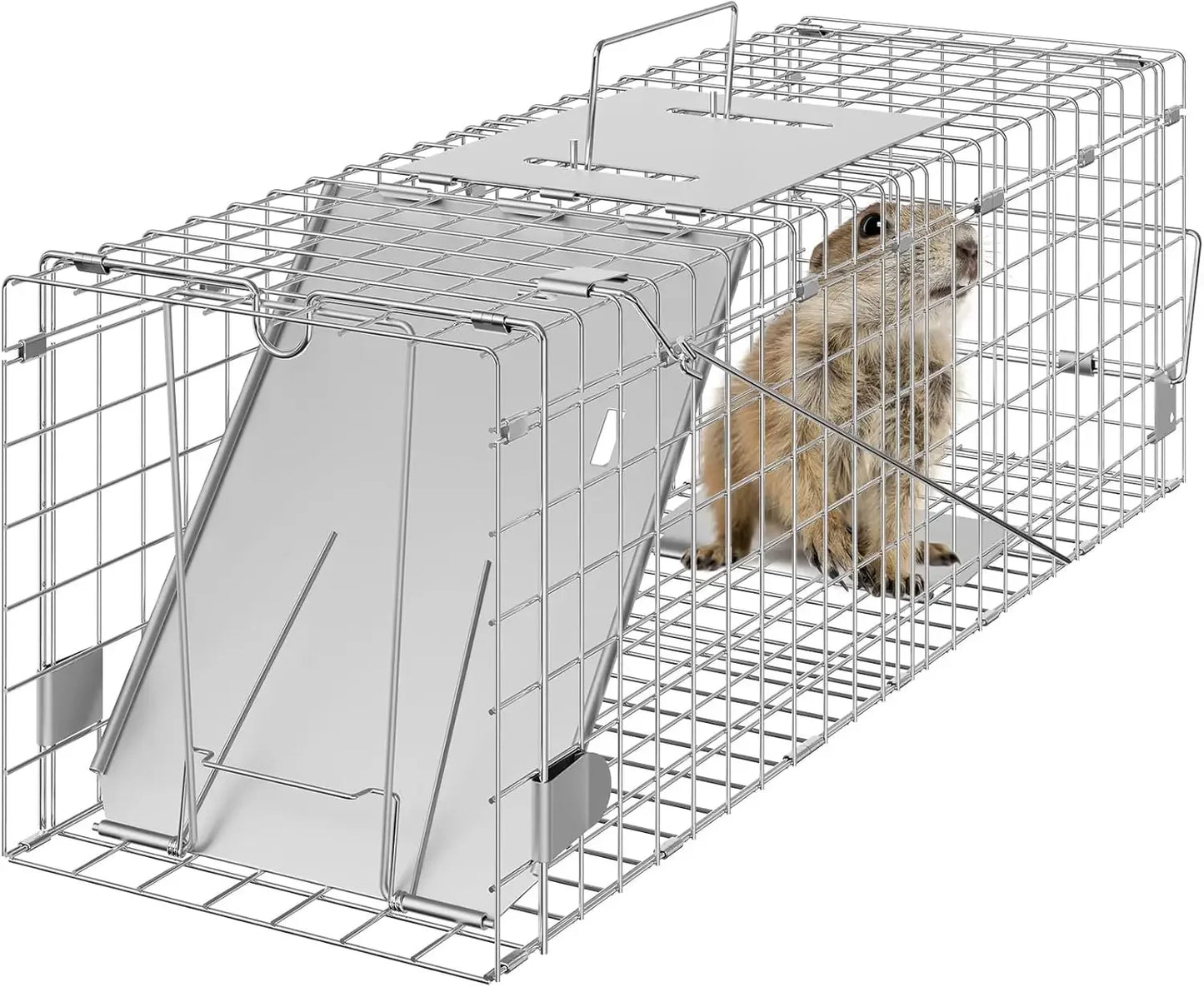 Humane Live Animal Cage Trap – 24'' Folding Metal Trap for Small Animals, Rabbits, Cats & Groundhogs